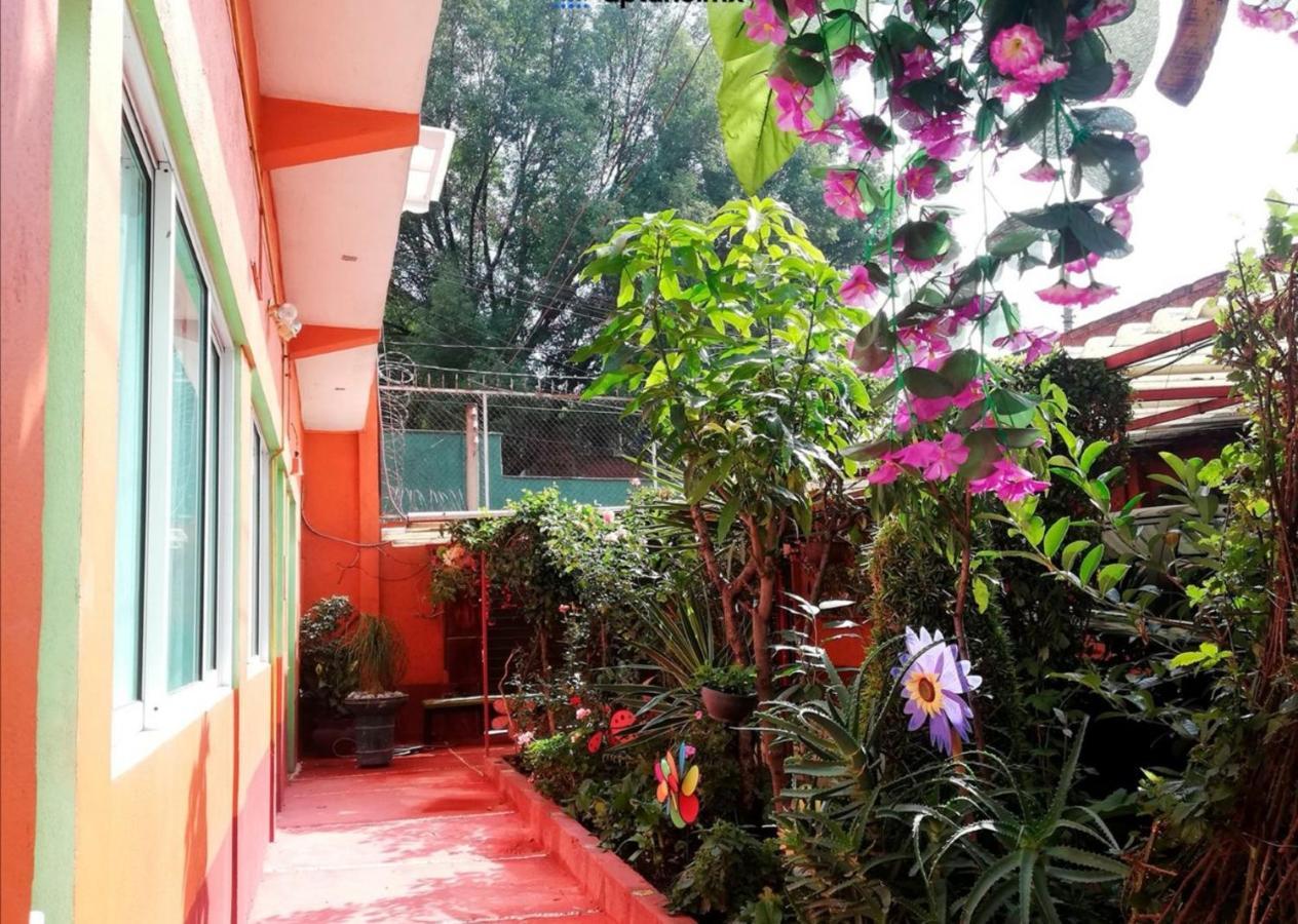 Hermoso Depa De 3 Recamaras Y 2 Banos En El Centro De Coyoacan Apartment Mexico City Ngoại thất bức ảnh