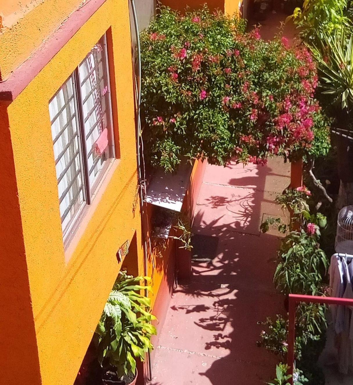 Hermoso Depa De 3 Recamaras Y 2 Banos En El Centro De Coyoacan Apartment Mexico City Ngoại thất bức ảnh